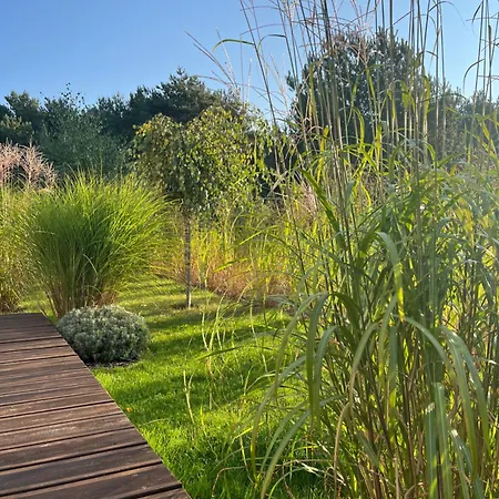 Podniebo ヤロスワビエツ