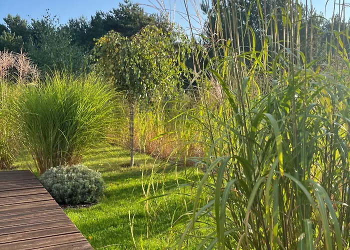 Podniebo Jarosławiec